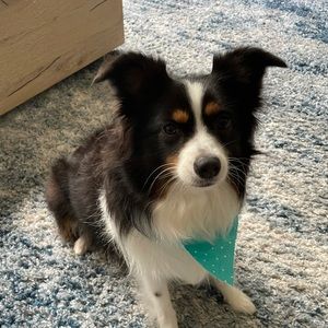 Meet your Posher, Kim